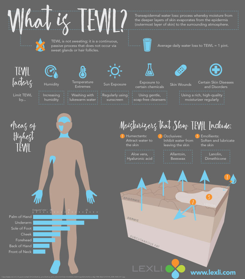 TEWL Infographic from Lexli.com