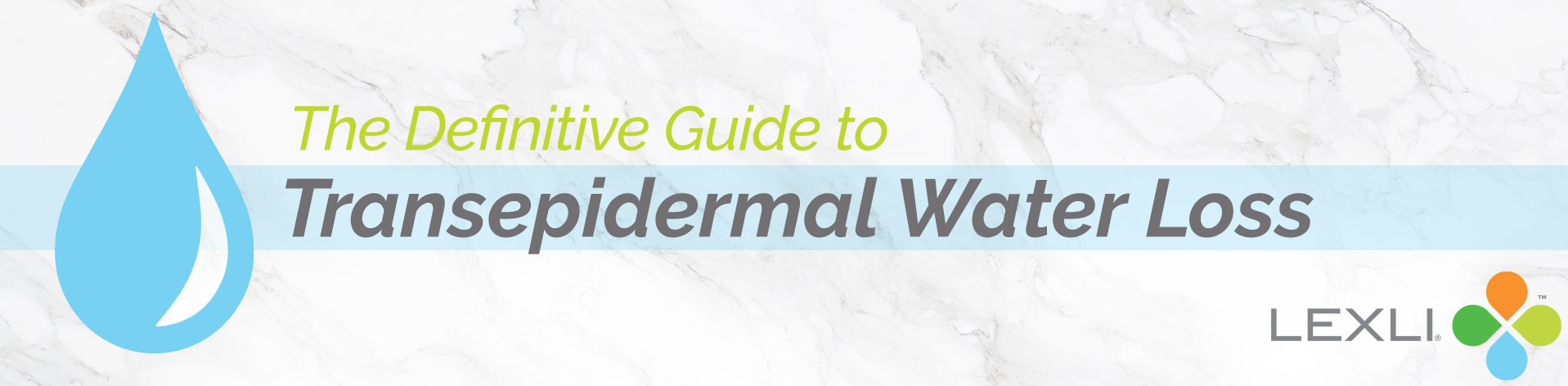 The Definitive Guide to Transepidermal Water Loss
